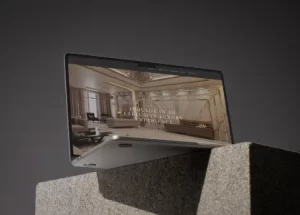 Real Estate Luxury segment